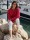 STILLPULLOVER LIA PINK XS